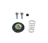ZDJKI Kit De Réparation De Carburateur avec Flotteur Et Diaphragme De Coupure d'air pour CBR125R, CBR150R, CBR 125 R, CBR 150 R
