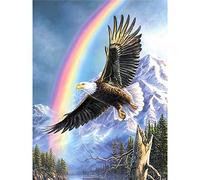 Zdklfm69 Peindre par Nombre Peinture par numéro Aigle Animal Bricolage Arc-en-Ciel Paysage Dessin Toile Mur Art Peinture à l'huile Bricolage décor à la Maison (Pas de Cadre) 40x50cm