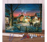 Zdklfm69 Peindre par Nombre Peinture par numéro Kit Village de Noël Peintures Acryliques Peintures Décoratives (Pas de Cadre) 40x50cm