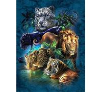 Zdklfm69 Peindre par Nombre Peinture par numéro Lion Tigre Maison Mur Art Toile Peinture Art Dessin par numéro Animaux Cadeau Unique pour Les Enfants 40x50cm