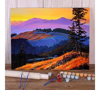 Zdklfm69 Peindre par Nombre Peinture par numéro Paysage Automne soirée Bricolage peintures à l'huile Toile Photos peintures décoratives (Pas de Cadre) 40x50cm