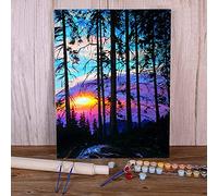 Zdklfm69 Peindre par Nombre Peinture par numéro Paysage Peintures acryliques Peinture à l'huile Décoration de la Maison Enfants Dessin (Pas de Cadre) 40x50cm