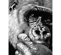 Zdklfm69 Peindre par Nombre Peinture par numéro Peinture à l'huile Noir et Blanc Animal Bricolage Peint à la Main Cadeau Peinture Acrylique coloriage par numéros Art Mural 40x50cm
