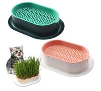 ZDNT Kit de Culture herbe pour chat, Jardinière herbe à chat