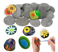 ZDQC 24 Pièces Galets Plats à Peindre,Galets a Peindre,Galets Lisses de 4 à 11 cm,Pierres Plates à Peindre,DIY Peintes Rocher,Bricolage Créatif Cailloux,Galets Naturels