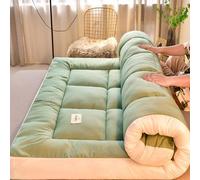 ZDSDZSD Matelas Futon, Tatami Japonais, Matelas Pliable 2 Places, Vert, 120 x 200 cm, Mousse à Mémoire de Forme, Moyen, Polyester