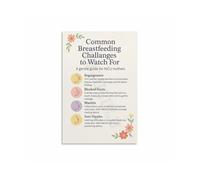 ZDVHOMCB The New Mother’s Nursing Guide Poster - Breastfeeding Support with Heart, Inspirational Canvas Wall Decor for Baby’s Room Framed,08x12inch(20x30cm)