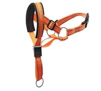 ZEACCT Collier de Tête de Chien Réglable, Collier Licou pour Chien, Adapté Au Dressage des Chiens de Taille Moyenne Et Grande (Orange)