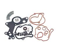 ZEALfix Kit de Réparation de Pompe Tandem de Carburant Sous Vide 038145209Q pour A3 A4 A6 Passat Sharan Touran Golf IV V