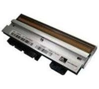 Zebra 1 300 dpi