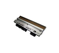 Zebra - 1 - tête d'impression