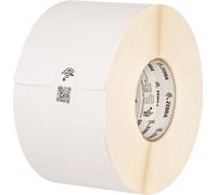 Zebra 8000T AllTemp Étiquettes autocollantes blanches 5,1x2,5cm Transfert thermique 51800pcs