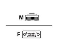 Zebra - Câble série - DB-9 (F) pour RJ-45 (10 broches) (M) - 2.8 m - bobiné, moulé - pour Symbol LI3608; Digital Scanner DS3608; Zebra DS3608,