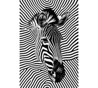 Zebra Drift - A Dot Grid Notebook for Altered Focus: A surreal journey in black and white lines. Journal through the blur.