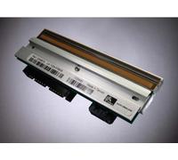 Zebra Kit Printhead 300 dpi ZM600 tête d'impression