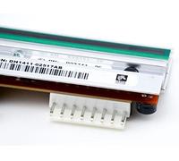 Zebra OEM P1004238 Tête d'impression pour imprimantes 220Xi4 203 dpi