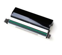 Zebra P1058930-009 tête d'impression Transfert thermique