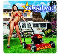 Zebrahead - Playmate of the Year [New CD] Alliance MOD