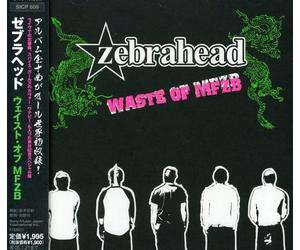 Zebrahead - Waste of Mfzb