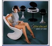 Zebrahead - Waste of Mind