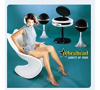 Zebrahead - Waste of Mind
