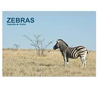 Zebras - Faszination der Streifen (Tischkalender 2026 DIN A5 quer), CALVENDO Monatskalender: Zebras in Afrika