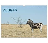 Zebras - Faszination der Streifen (Wandkalender 2026 DIN A3 quer), CALVENDO Monatskalender: Zebras in Afrika