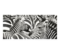Zebras, Photo Murale Intissée, 202 X 90 Cm, 1 Part - Enfants
