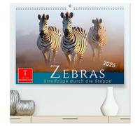 Zebras - Streifzüge durch die Steppe (hochwertiger Premium Wandkalender 2026 DIN A2 quer), Kunstdruck in Hochglanz: Streifenstars auf Safari - Zebrastreifen mal anders.