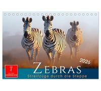 Zebras - Streifzüge durch die Steppe (Tischkalender 2026 DIN A5 quer), CALVENDO Monatskalender: Streifenstars auf Safari - Zebrastreifen mal anders.