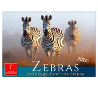 Zebras - Streifzüge durch die Steppe (Wandkalender 2026 DIN A3 quer), CALVENDO Monatskalender: Streifenstars auf Safari - Zebrastreifen mal anders.