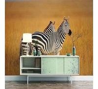 Zèbre D'Or Cubique DeLa Vaste Prairie Papier Peint 3D Installation Facile Intissé Tapisserie Bureau Salon Canapé Chambre Décoration Murale-430cm×300cm