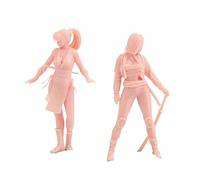 ZEDACAKAI (2 pièces 1/43 figurine femme chevalier chevalier épée chevalière modèle scène miniature GK doit être coloré par vous-même