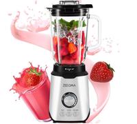 ZE Grand Vitamine Blender 1.7L 1600W Pieds Antidérapants Aluminium Acier Inoxydable Argent