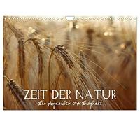 Zeit der Natur - Ein Augenblick zur Ewigkeit (Wandkalender 2026 DIN A4 quer), CALVENDO Monatskalender: Inspirierende Welt der Naturfotografie