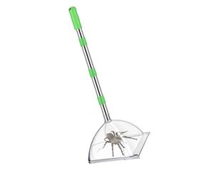 Zeizafa Outil De Piège À Guêpes PC Poignée Extensible 32 Pouces pour Les Captures D'araignées Capteur Portable Libération pour L'intérieur Et L'extérieur