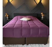 Zelesta Easybed Couette 4 Saisons - Couette sans Housse - Literie pour l'hiver et l'été Chaude Duvet - Couette Lavable sans Housse (Lilas & Anthracite, 160x220cm)