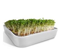 ZELLGUT® Passoire à Cresson, Bac à Germination - 12 cm - Bol en Céramique + Tamis en Acier Inoxydable - Appareil pour la Culture de Microgreens, Graines Germées