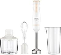 Zelmer Zhb4562I Pulsar Deluxe Max Mixeur plongeant