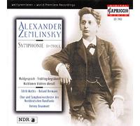 Zemlinsky, a. - Symphonie D-Moll;Fruhlingsbegrabnis;Waldgesprach