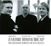 Zemlinsky - Brahms & Skroup : Trios pour Piano, Clarinette et Violoncelle