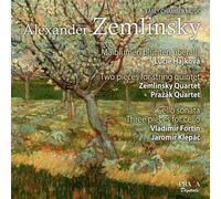 Zemlinsky Early Chamber Music