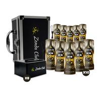 Zenda club® Pack 8 Déclencheurs + 10 Jet de scène 3 mètres 30 secondes Argent, Kit de tir pour jets de scène, Machine d'Allumage De Feu d'artifice Froid + télécommandes sans fil PACK DE FETE (Argent)