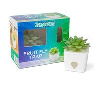 ZendoZones Lot de 6 pièges à mouches à fruits succulents - Design Tabitha tranquille avec base blanche - Contrôle des mouches des fruits d'intérieur respectueux de l'environnement - Piège décoratif