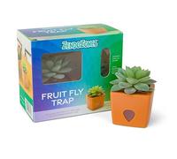 ZendoZones Lot de 6 pièges à mouches à fruits succulents - Design Tabitha tranquille avec base en terre cuite - Contrôle des mouches des fruits d'intérieur respectueux de l'environnement - Piège