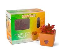 ZendoZones® Piège à mouches à fruits Joyful Janet, base terre cuite, étui de 6