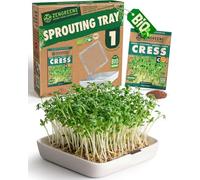 zengreens® Coupelle de Germination Bio - Lot de 1 - Germoir à Grille - Inclus: bac et graines (cresson)