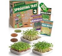 ZenGreens® Coupelle de germination bio - Lot de 3 - Germoir à grille - Inclus: bac et graines (cresson)