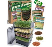 zengreens® Germoir à étages Bio - Tour de Germination à 4 Niveaux - Inclus: Tour et graines (Brocoli, Radis & Haricots Mungo)