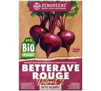 ZenGreens® - Graines de betterave bio - Semences potagères - Graines de légumes pour une culture facile au jardin, sur le balcon ou dans un potager surélevé - Detroit 2